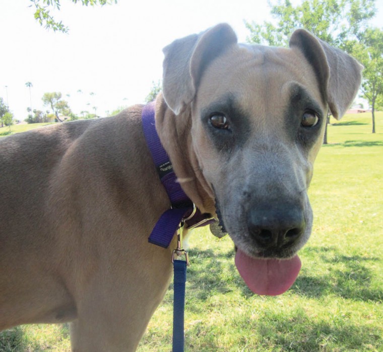 Someone to love: Xena